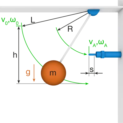 R1a